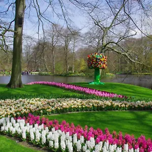 Bed & Breakfast Ineke En John Hoofddorp